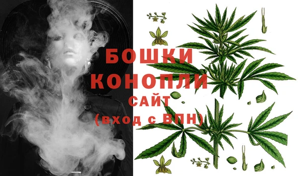 трава Балахна