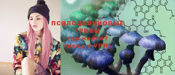 ГАЛЛЮЦИНОГЕННЫЕ ГРИБЫ Балабаново