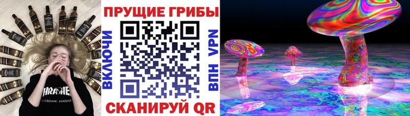 мориарти официальный сайт  купить наркотик  Горнозаводск  Галлюциногенные грибы мухоморы 